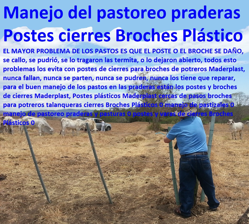 Postes plásticos Maderplast cercas de pasos broches para potreros talanqueras cierres Broches Plásticos 0 manejo de pastizales 0 manejo de pastoreo praderas y pasturas 0 postes y varas de cierres Broches Plásticos 0 Postes plásticos Maderplast cercas de pasos broches para potreros talanqueras cierres Broches Plásticos 0 manejo de pastizales 0 manejo de pastoreo praderas y pasturas 0 postes y varas de cierres Broches Plásticos 0 Postes plásticos Maderplast cercas de pasos broches para potreros talanqueras cierres Broches Plásticos 0 manejo de pastizales 0 manejo de pastoreo praderas y pasturas 0 postes y varas de cierres Broches Plásticos 0